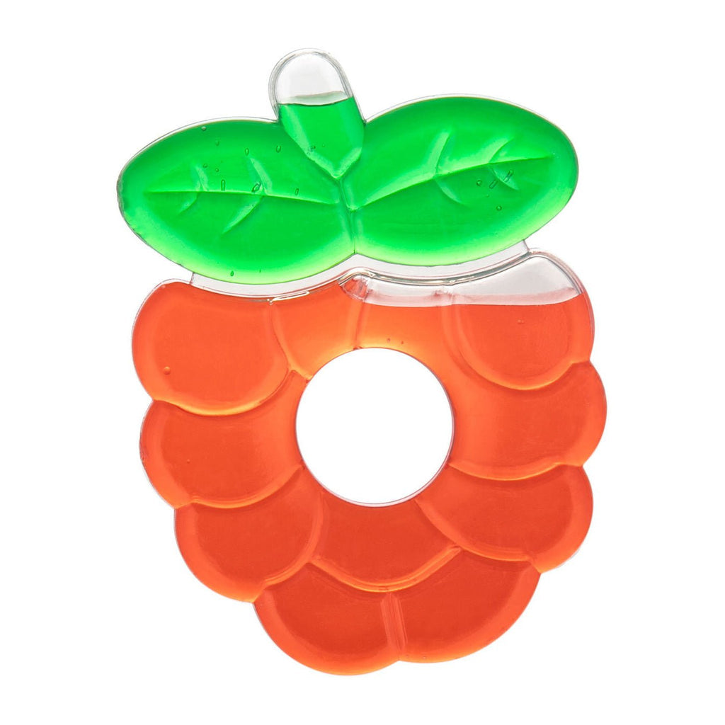 منتج Canpol Babies للعناية بالأم والطفل | Canpol Babies Water Teether (3m+) - Fruits